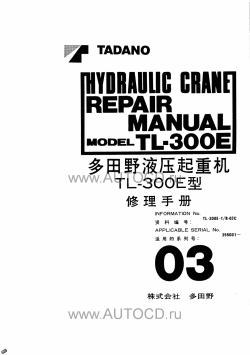 Click to view big picture in popup.